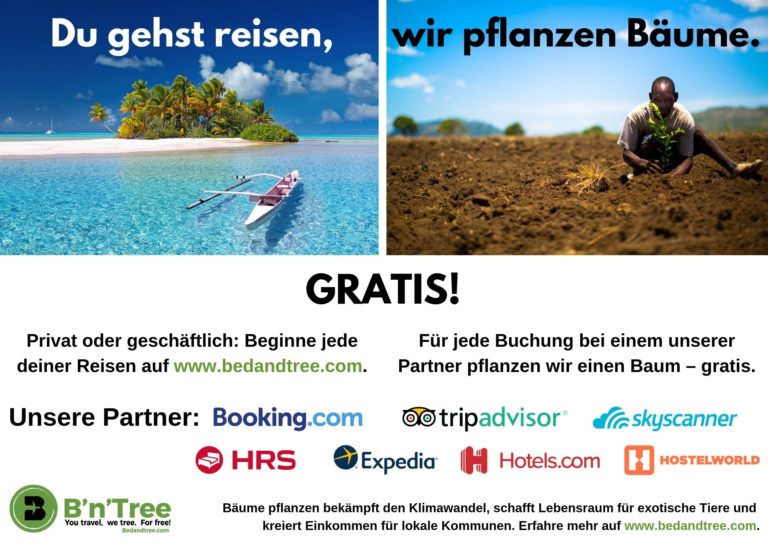 B’n’Tree – die Reiseplattform die Bäume pflanzt