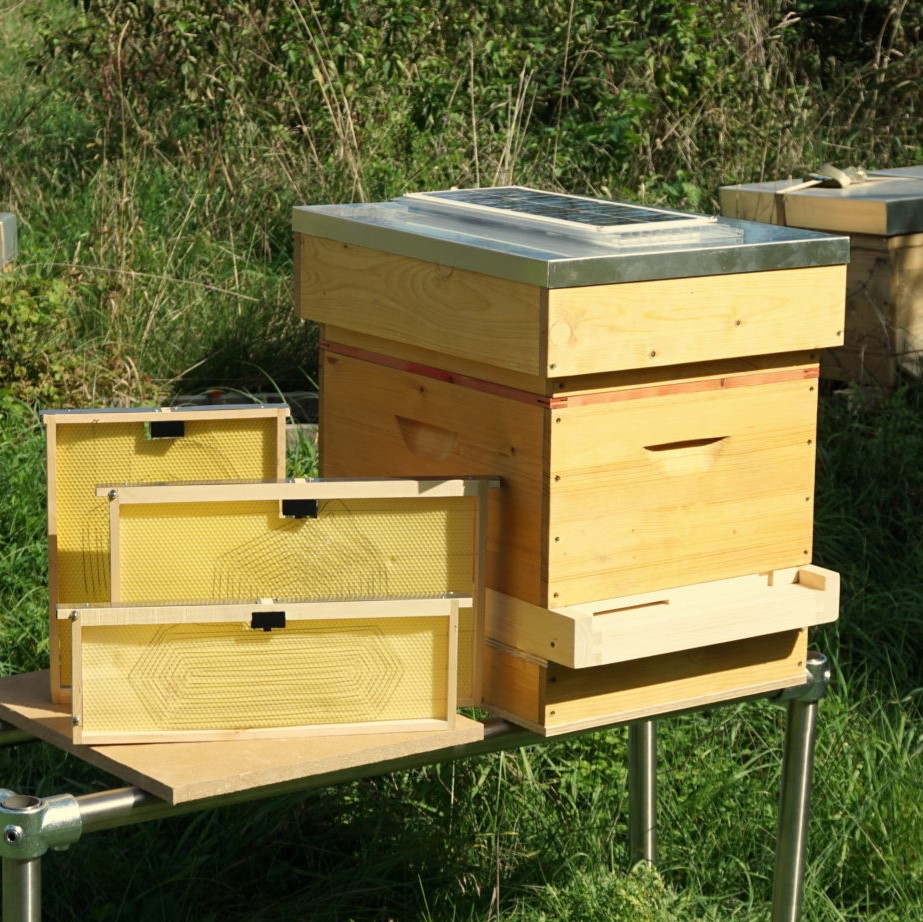 Vatorex varroa lösung - Vatorex - rettet die Bienen